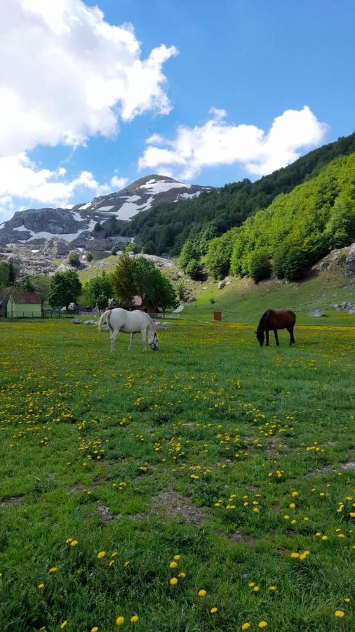Katun Mokra Accommodation & Horseback Riding ポドゴリツァ エクステリア 写真