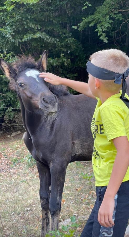 Katun Mokra Accommodation & Horseback Riding ポドゴリツァ エクステリア 写真