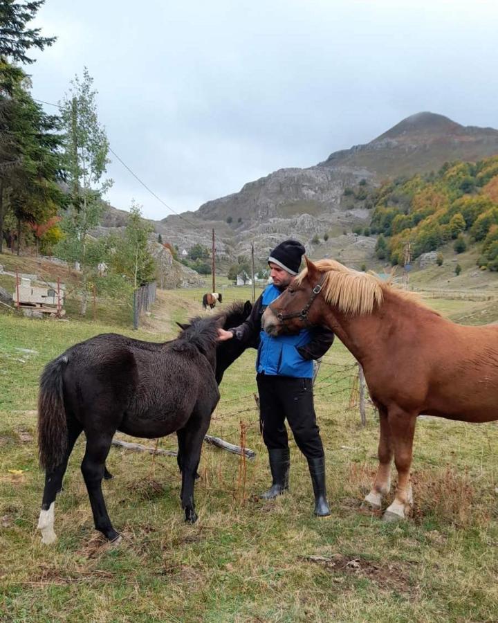 Katun Mokra Accommodation & Horseback Riding ポドゴリツァ エクステリア 写真