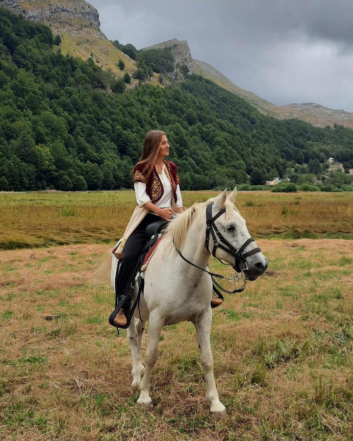 Katun Mokra Accommodation & Horseback Riding ポドゴリツァ エクステリア 写真