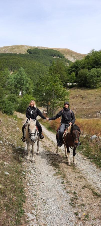 Katun Mokra Accommodation & Horseback Riding ポドゴリツァ エクステリア 写真