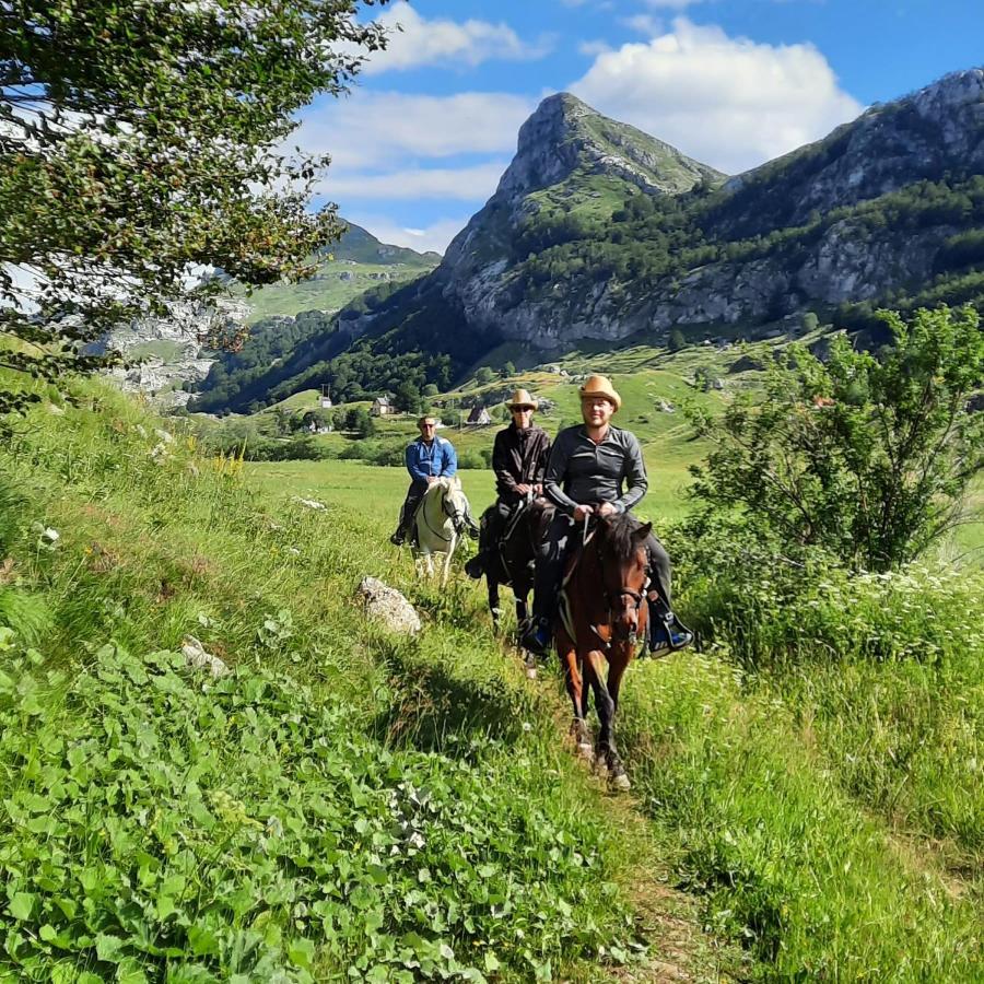 Katun Mokra Accommodation & Horseback Riding ポドゴリツァ エクステリア 写真