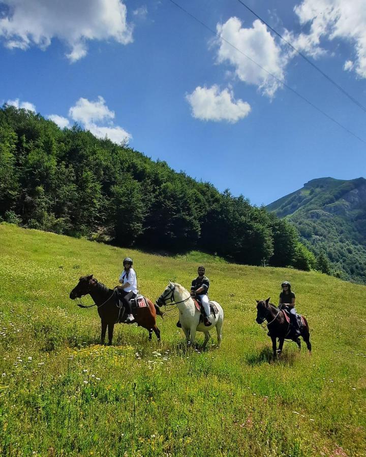 Katun Mokra Accommodation & Horseback Riding ポドゴリツァ エクステリア 写真