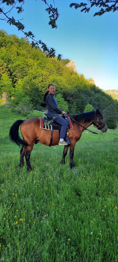 Katun Mokra Accommodation & Horseback Riding ポドゴリツァ エクステリア 写真