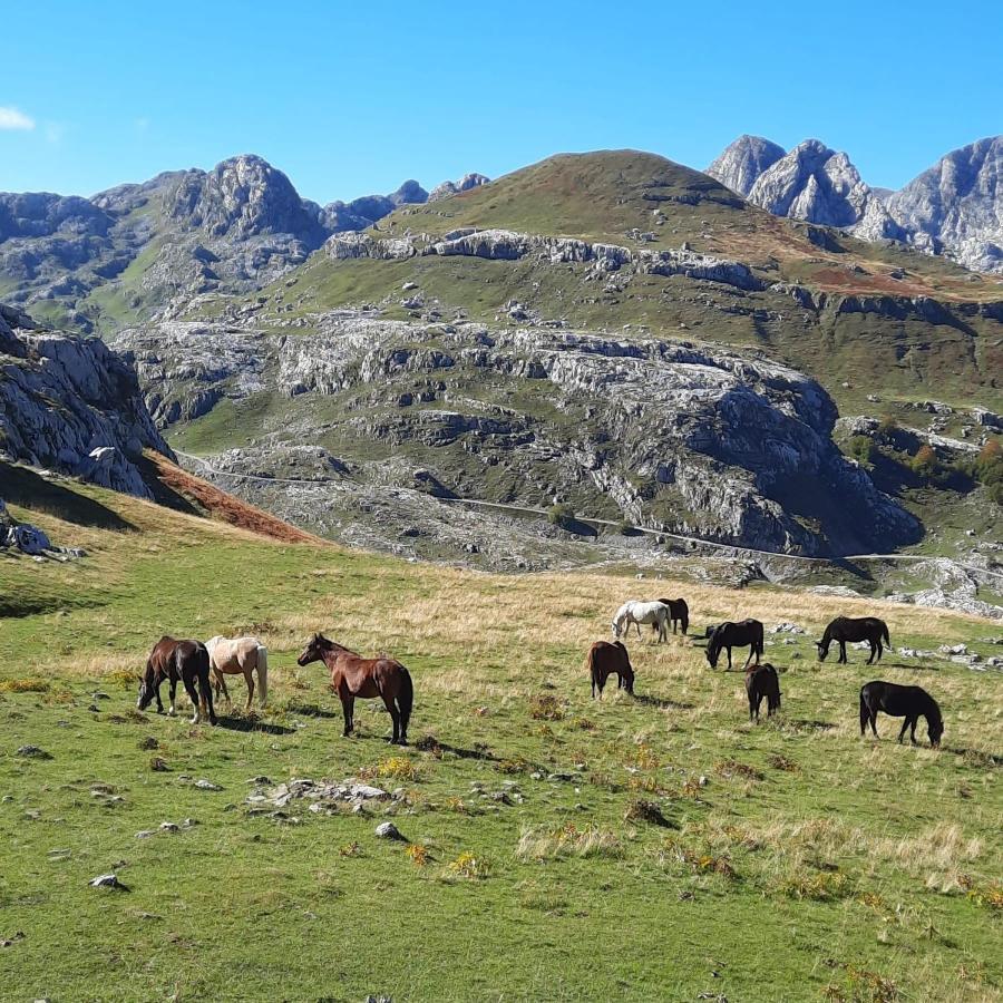 Katun Mokra Accommodation & Horseback Riding ポドゴリツァ エクステリア 写真