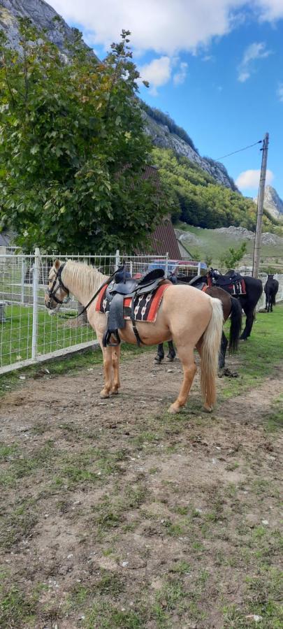 Katun Mokra Accommodation & Horseback Riding ポドゴリツァ エクステリア 写真